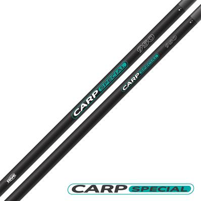 R-CARP SPECIAL