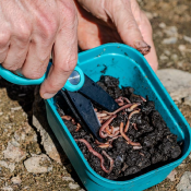 CISEAUX A VERS<BR>(Ref. RIV-239265-1)