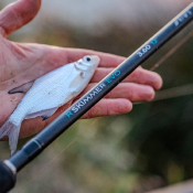 R SKIMMER EVO 360<BR>(Ref. RIV-239225-1)