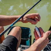 R WHIP 300<BR>(Ref. RIV-209254-1)