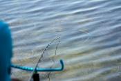 R SKIMMER EVO 330<BR>(Ref. RIV-239224-1)