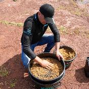 AMORCE RIVIERE (1X12)<BR>(Ref. 850132)